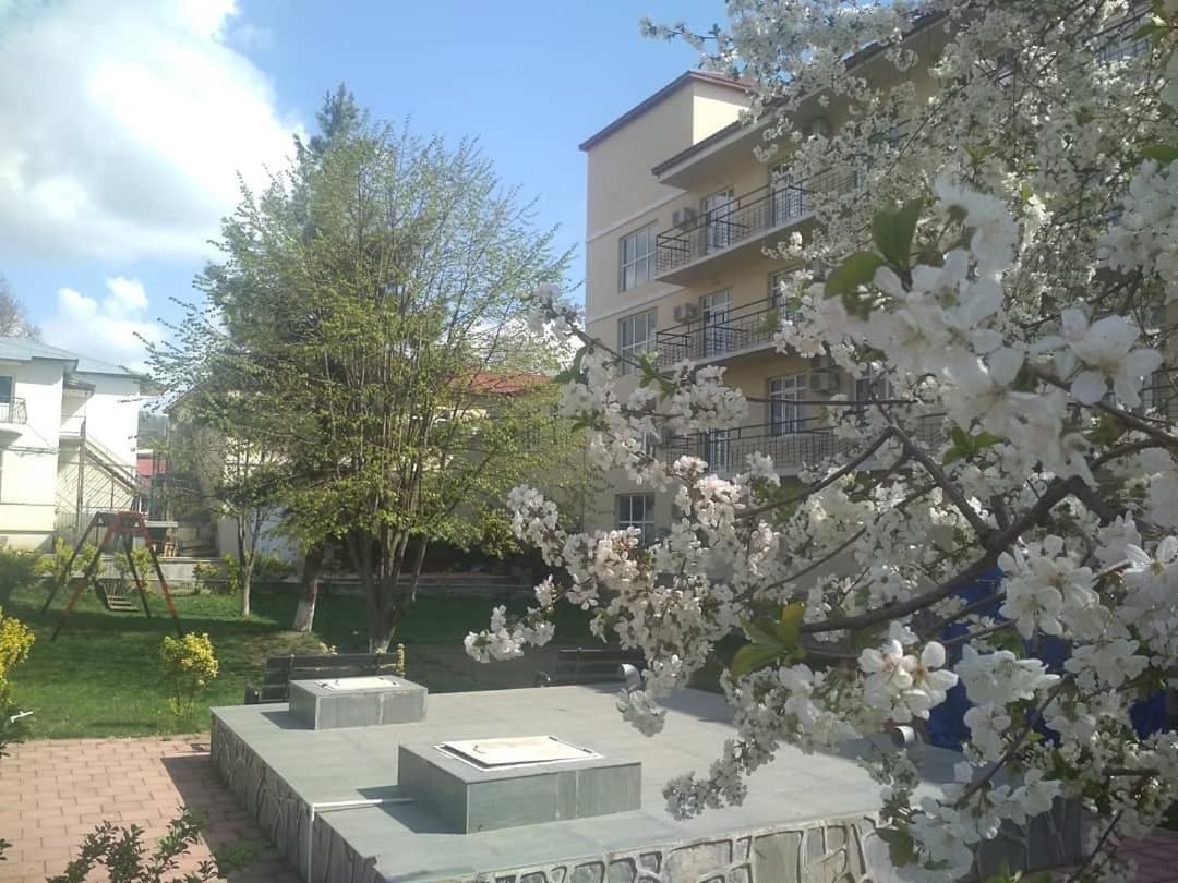 Gabala Hotel Exteriér fotografie